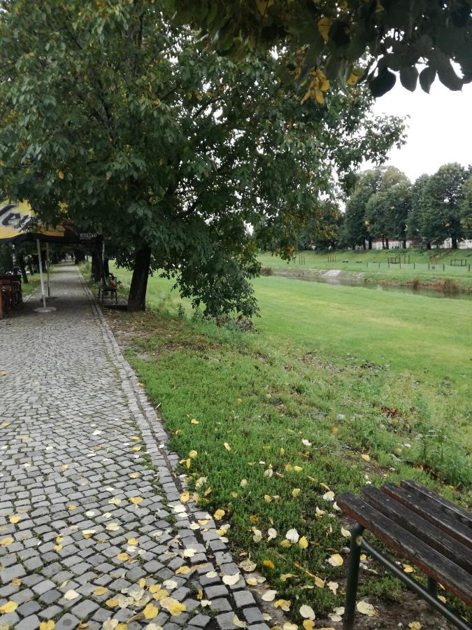 Ferienwohnung Apartman Gaga Pirot Exterior foto