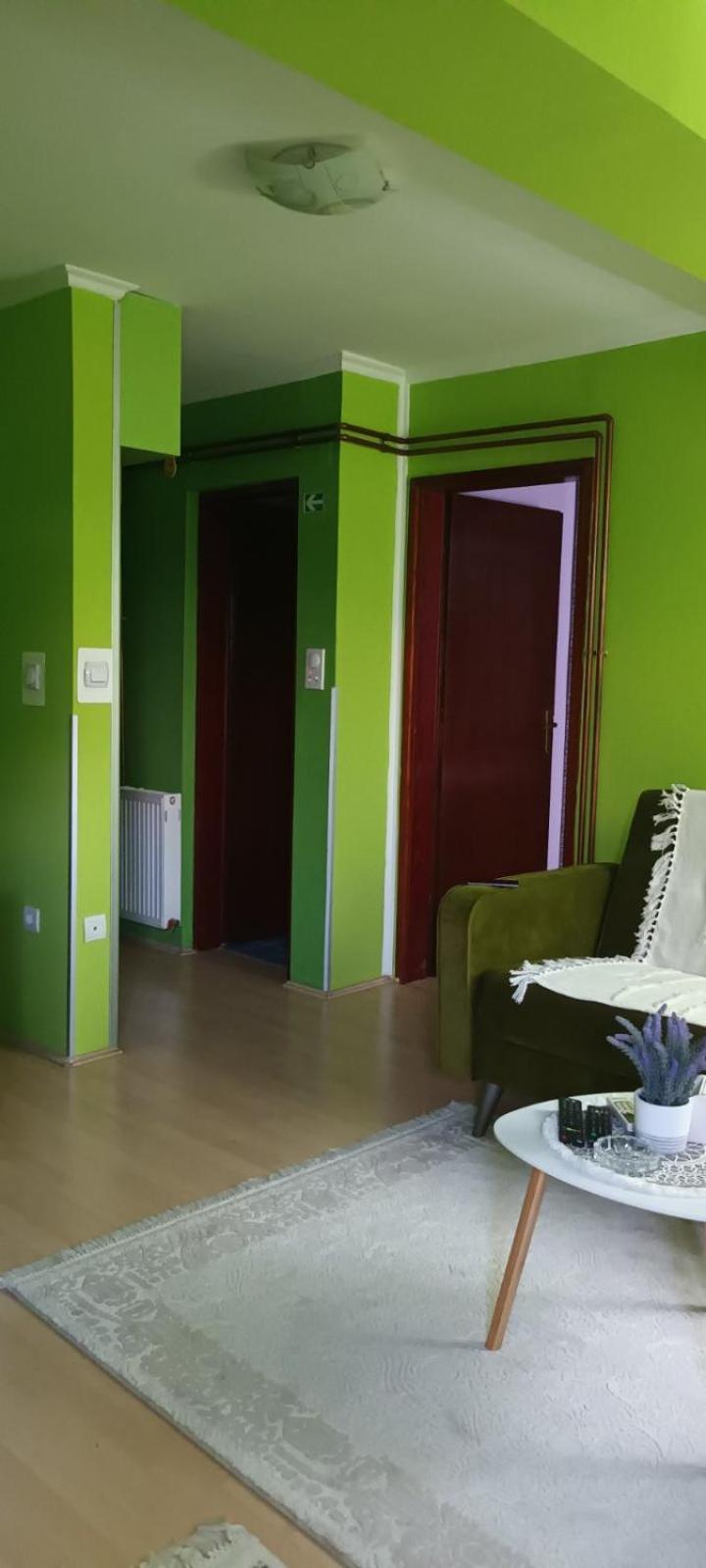 Ferienwohnung Apartman Gaga Pirot Exterior foto